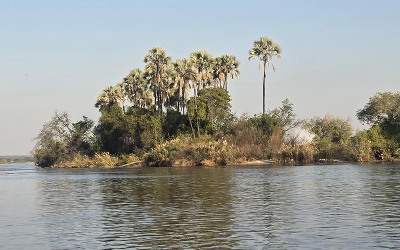 Ngorongoro Crater: The Complete Guide to Africa's Garden of Eden