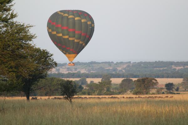 Balloon Rides